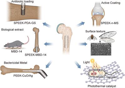 Research progress and future prospects of antimicrobial modified polyetheretherketone (PEEK) for the treatment of bone infections